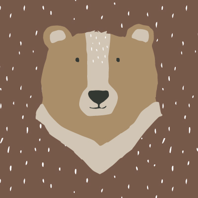 Mr. Bear